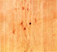 Picture of Hickory wood sample
