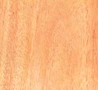 Picutre of South American Mahogany wood sample