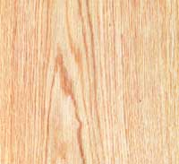Picture of White Oak wood sample