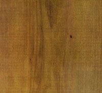 Picture of Alder wood sample