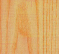 Picture of Ash wood sample